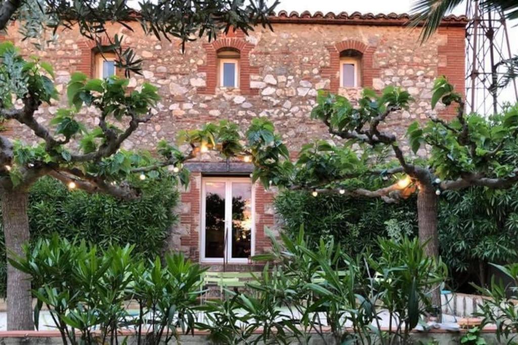 La Maison Des Vendangeurs Canet-en-Roussillon Eksteriør billede