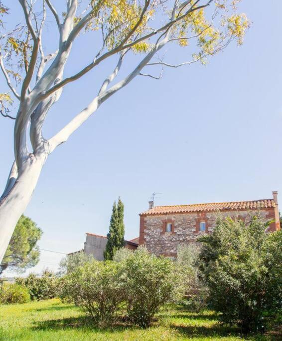 La Maison Des Vendangeurs Canet-en-Roussillon Eksteriør billede