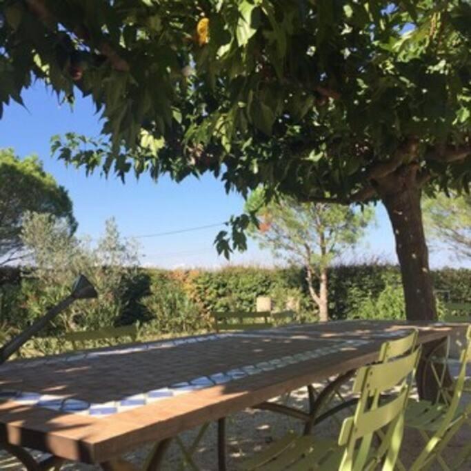 La Maison Des Vendangeurs Canet-en-Roussillon Eksteriør billede