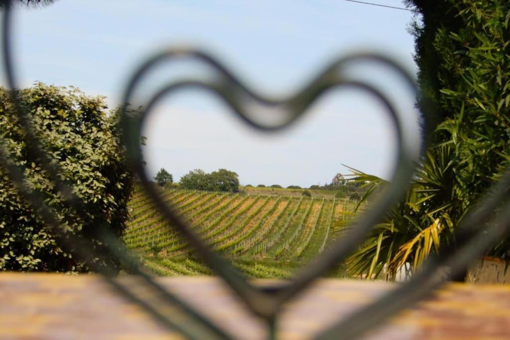 La Maison Des Vendangeurs Canet-en-Roussillon Eksteriør billede