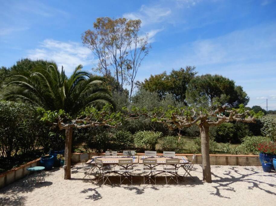 La Maison Des Vendangeurs Canet-en-Roussillon Eksteriør billede