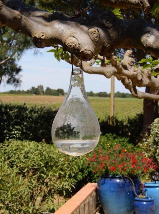 La Maison Des Vendangeurs Canet-en-Roussillon Eksteriør billede