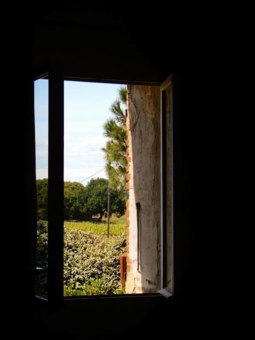 La Maison Des Vendangeurs Canet-en-Roussillon Eksteriør billede