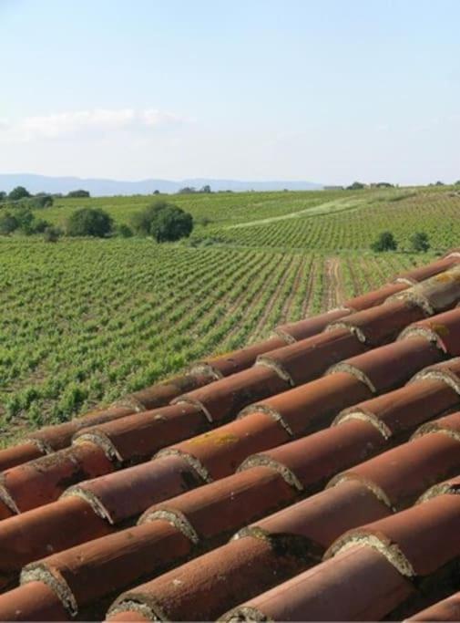 La Maison Des Vendangeurs Canet-en-Roussillon Eksteriør billede